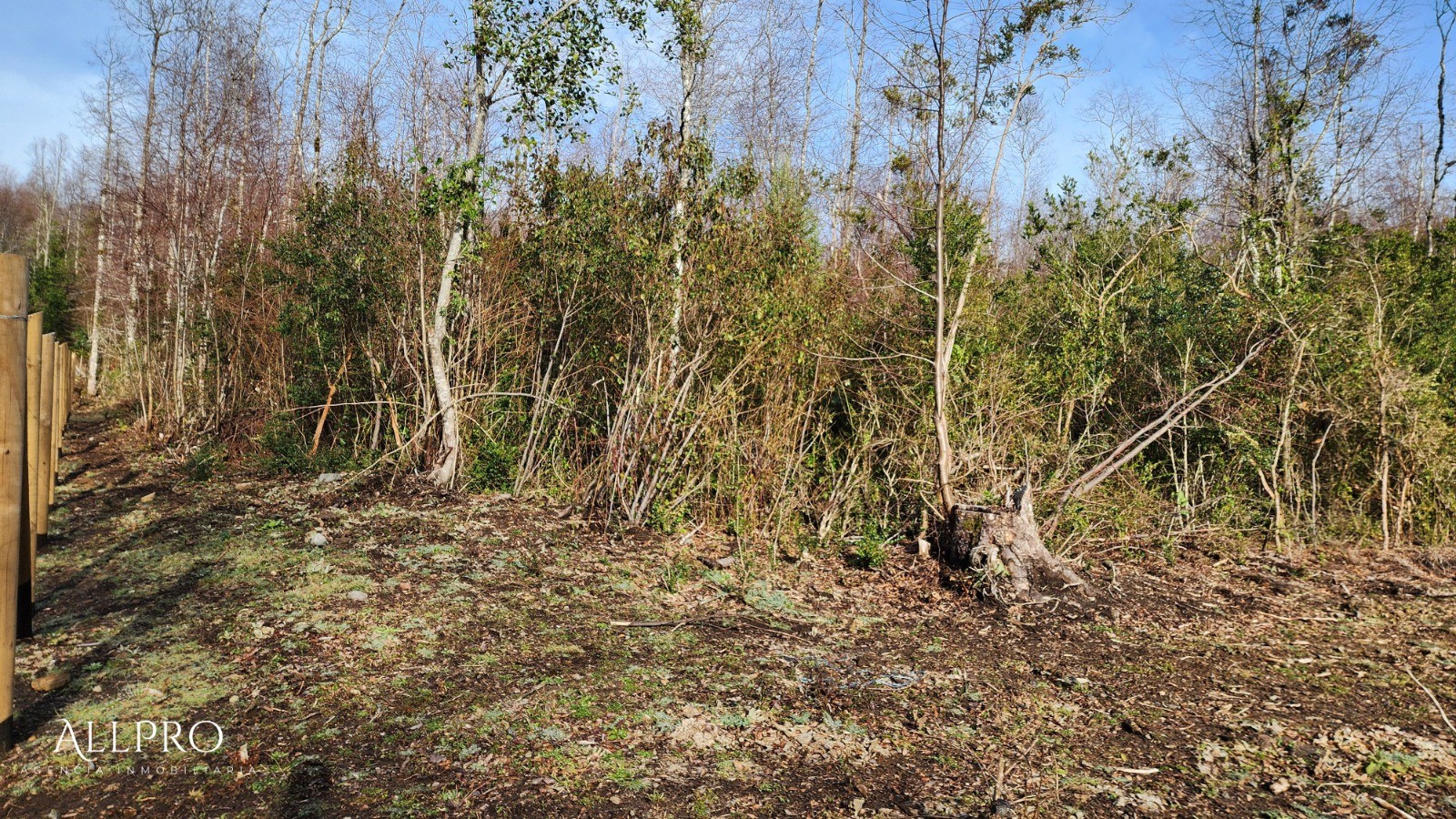 Venta espectacular terreno 15.392 m2 cercano a Camino al Volcán, Pucón
